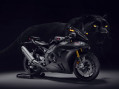 CBR1000RR-R SP Carbon Edition : La piste s